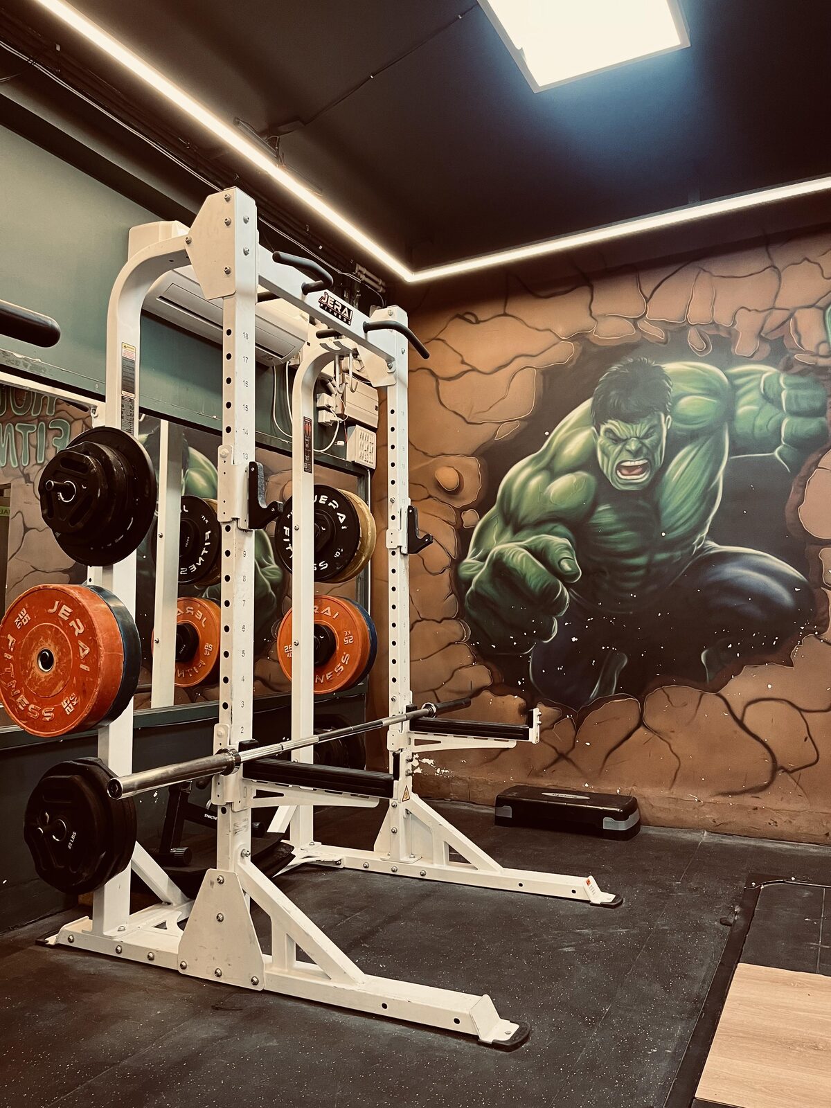 Free weights and dumbbell section